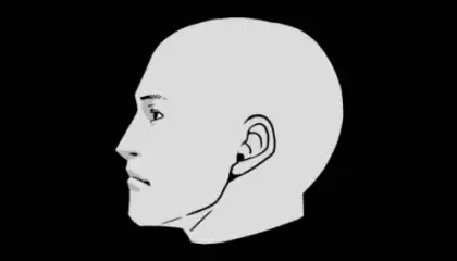 Heads Off