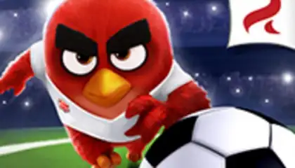 Angry Birds Goal!