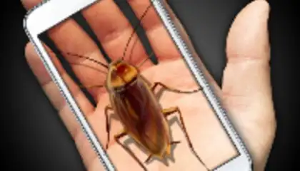Cockroach Hand Funny Joke